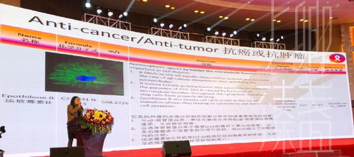 上卿臻盞創始人受邀參加國際燕窩認證研討會，共襄全球燕窩文化學術交流盛舉