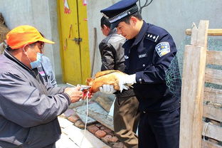 清浦分局鹽河派出所 貼心服務送上門，為養殖戶筑牢防疫屏障